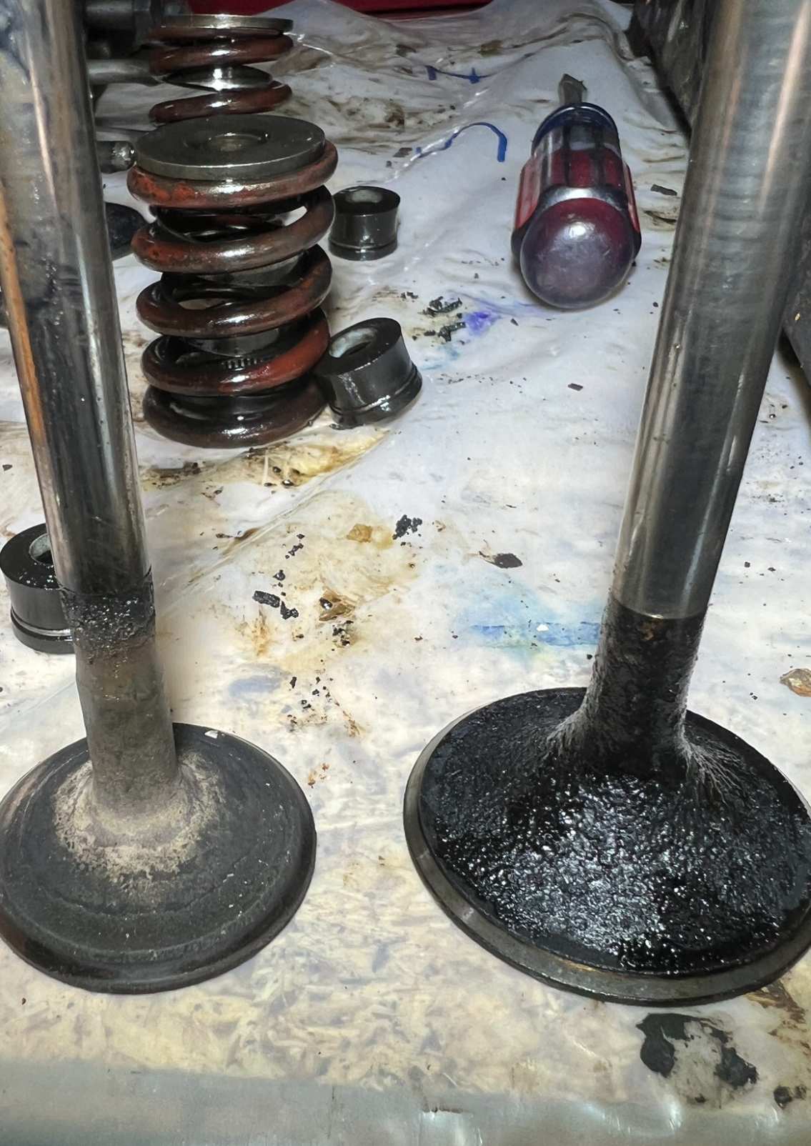 IMG_E4564 - Copy.JPG