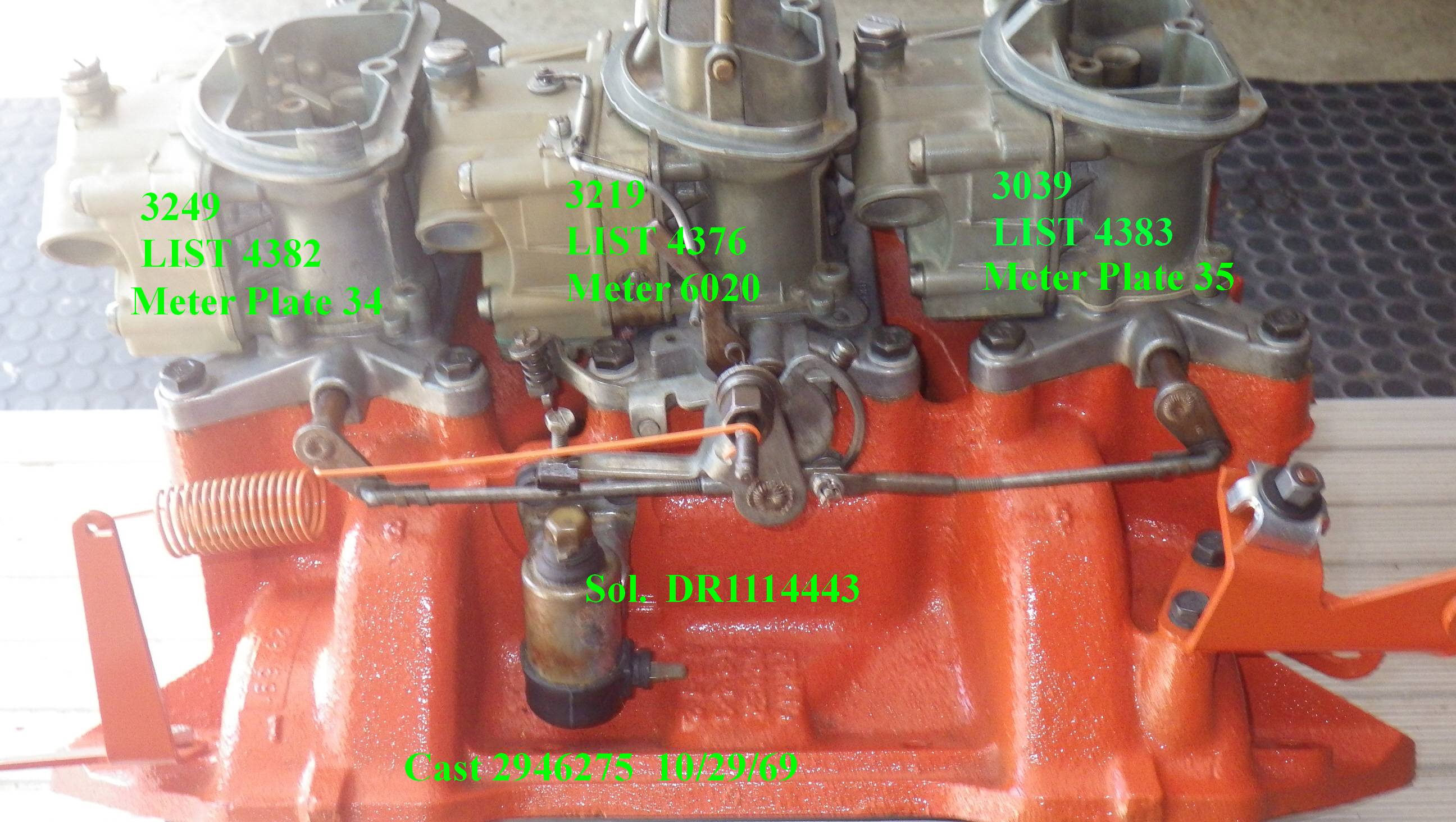 IMGP7415.jpg