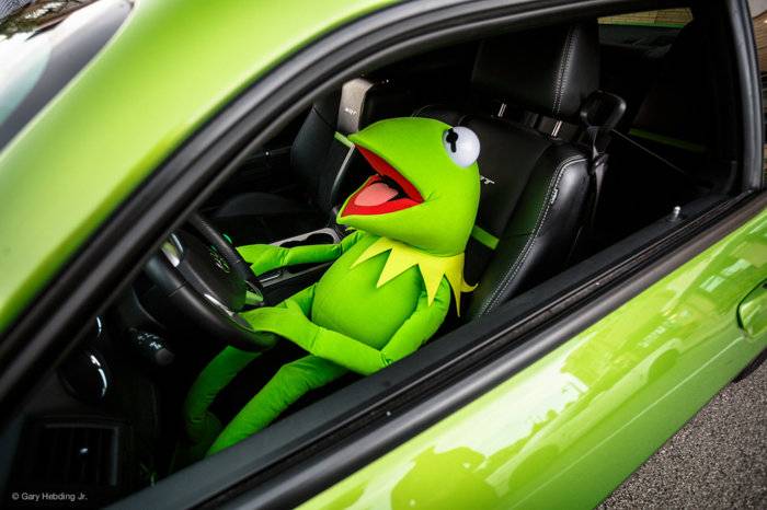 Kermit in car.jpg