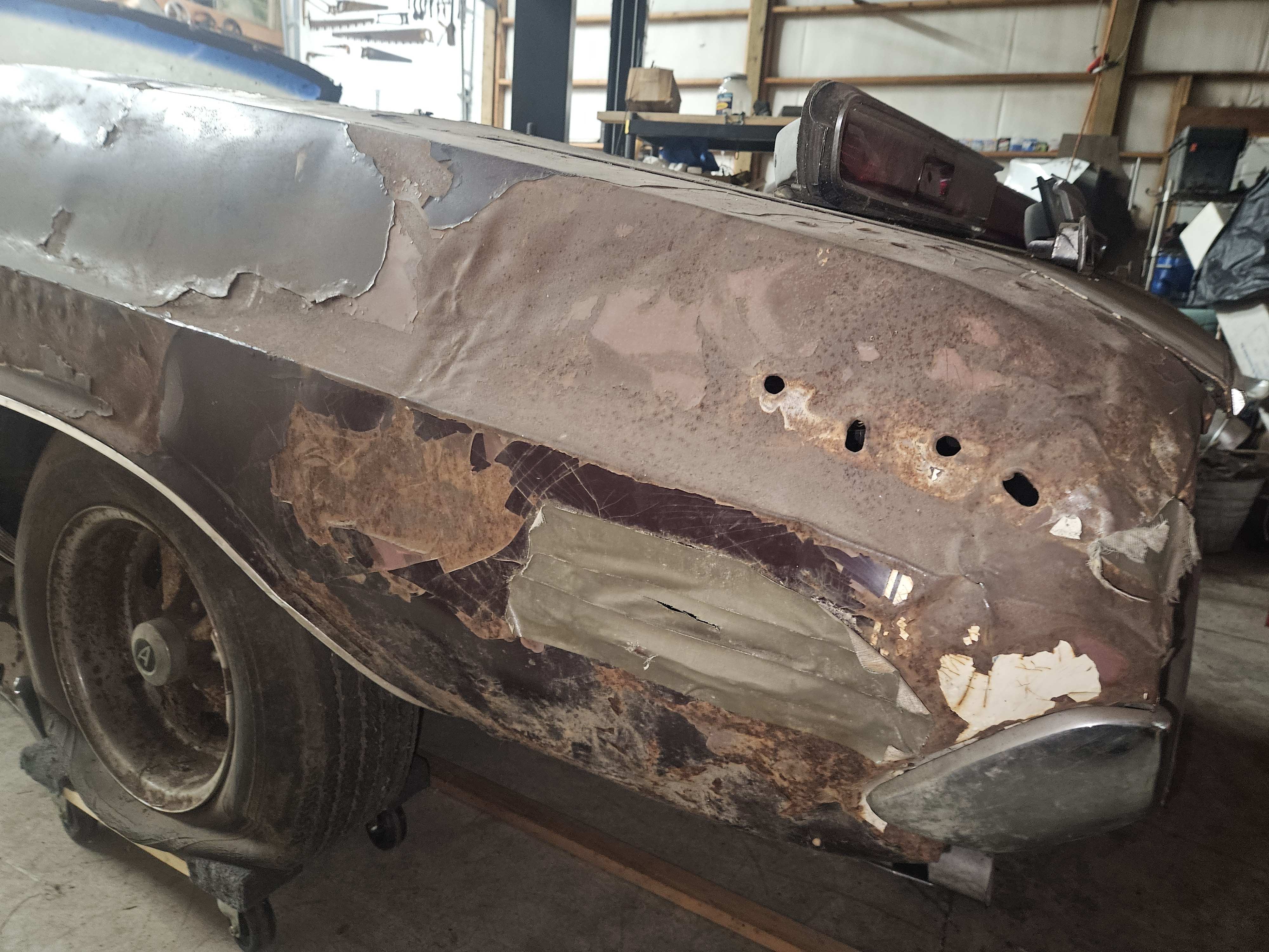 left rear quarter.jpg