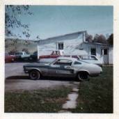 mustang 67.jpg