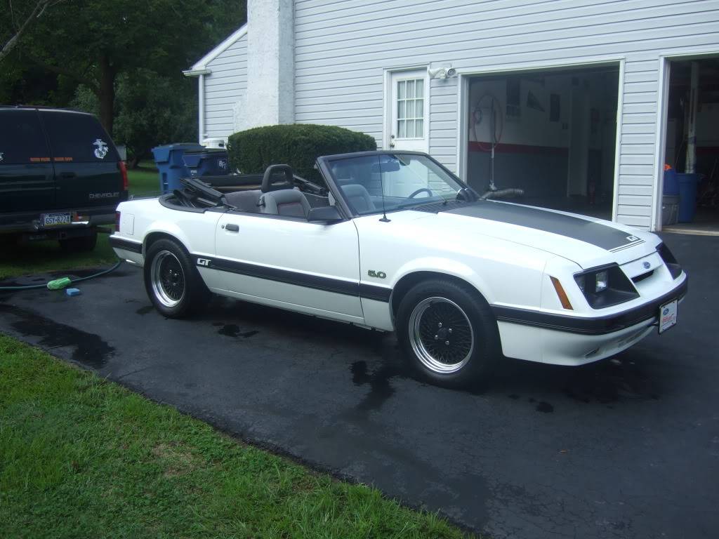 Mustangparts048.jpg