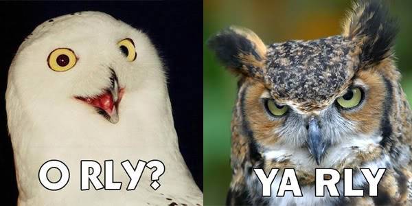 oryl-owl-ya-rly.jpg