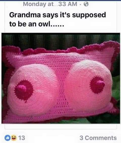owl.jpg