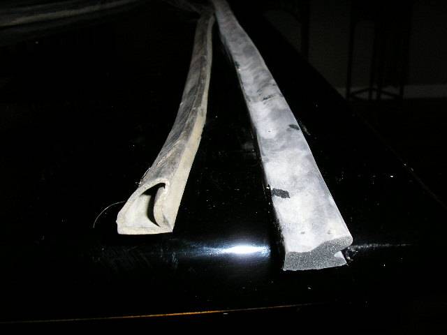 P1010035 (1).JPG