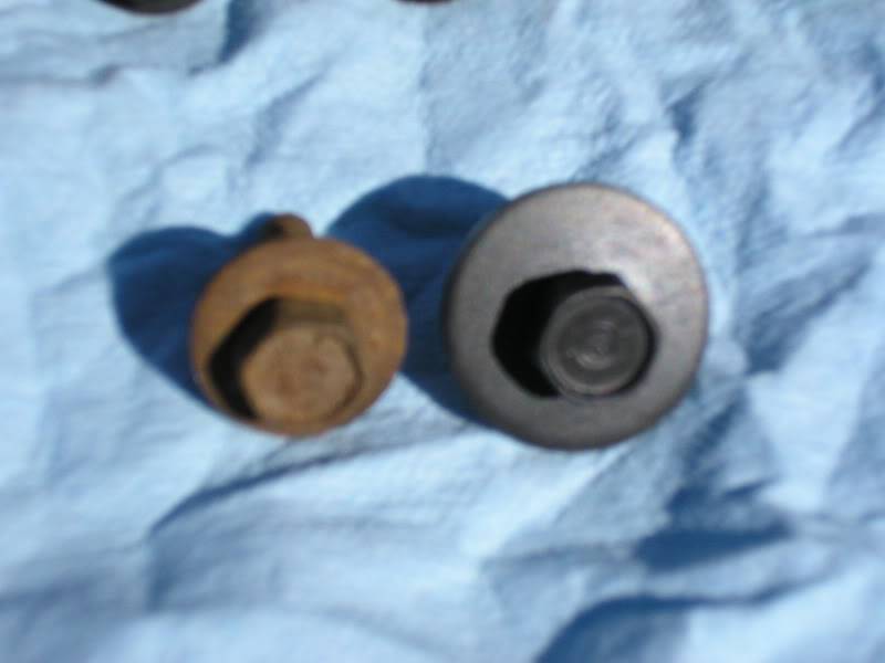 P1010035.jpg