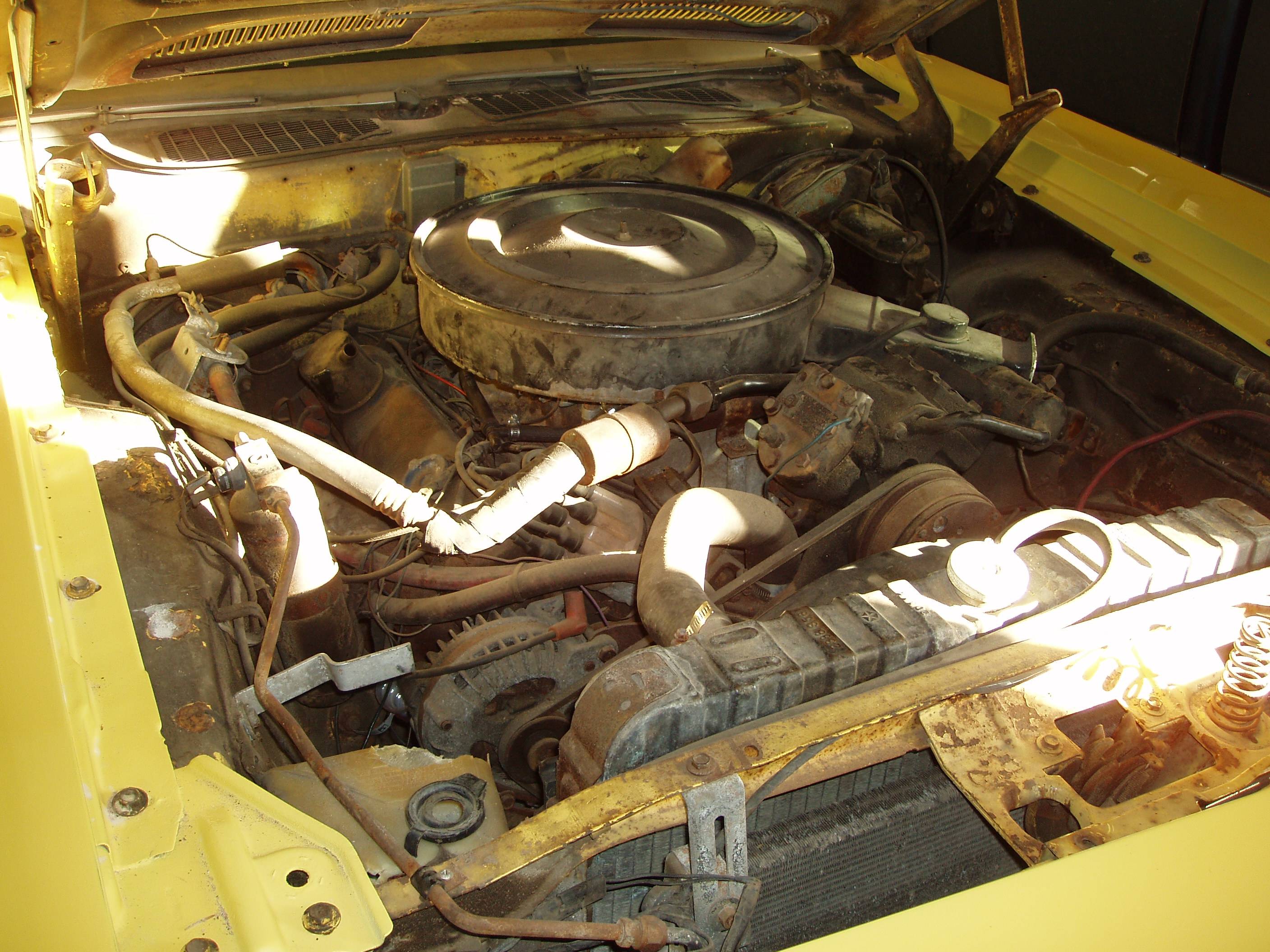 P1010077a.JPG