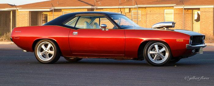 P4254030-2.jpg