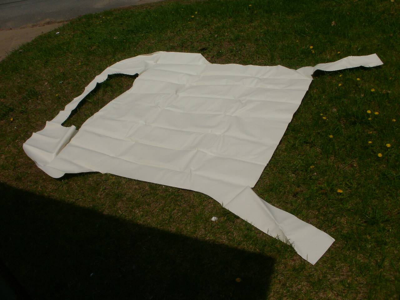 P5260043.JPG
