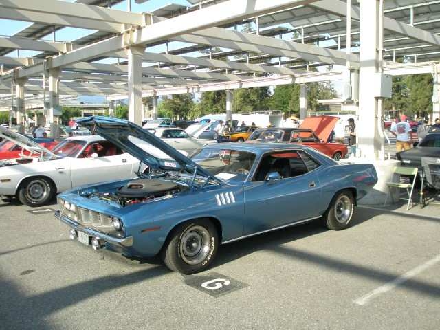P7110011 (Small).JPG