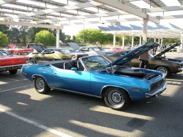 P7110019 (Small).JPG