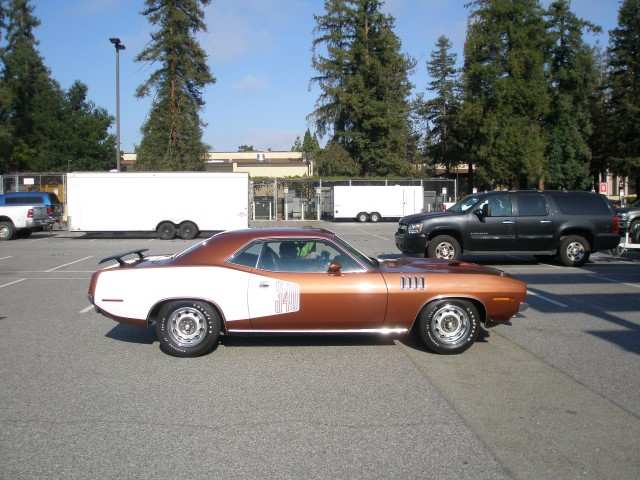 P7110036 (Small).JPG