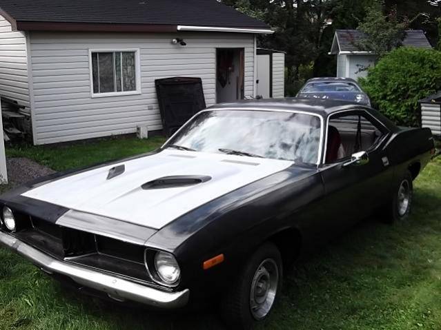 pickin  up CUDY 012.jpg