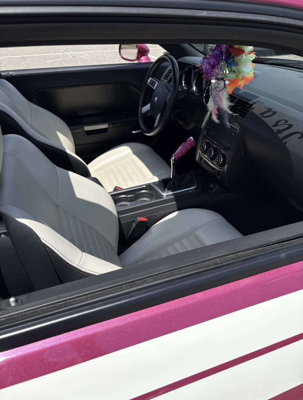 Pink Pistol Grip.jpeg