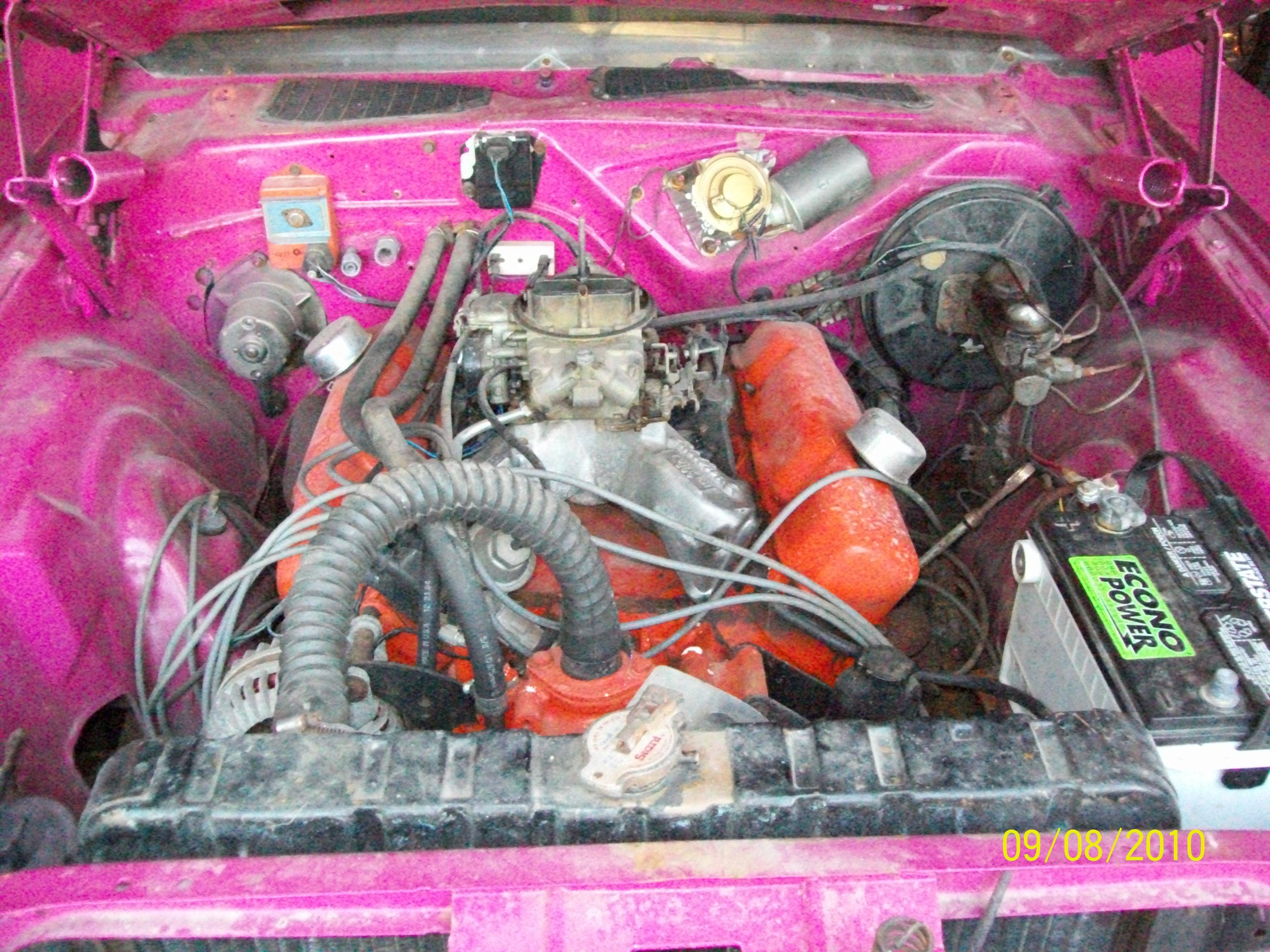 pinkvert 001.JPG