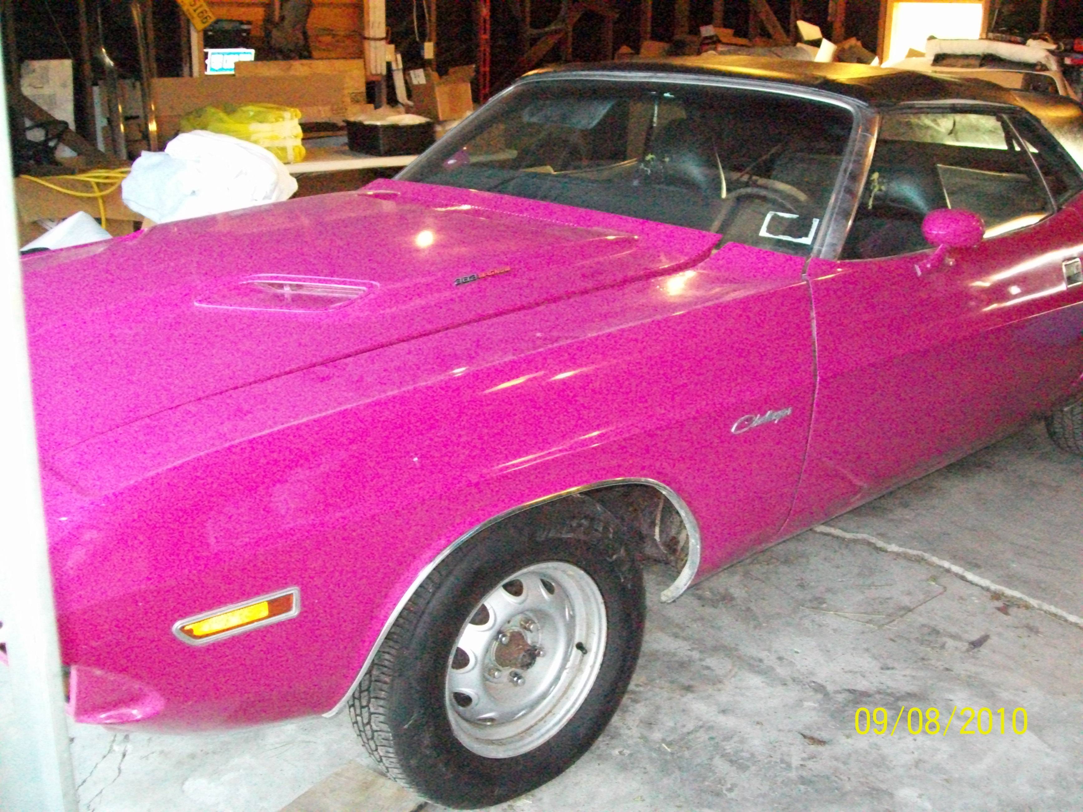 pinkvert 003.JPG
