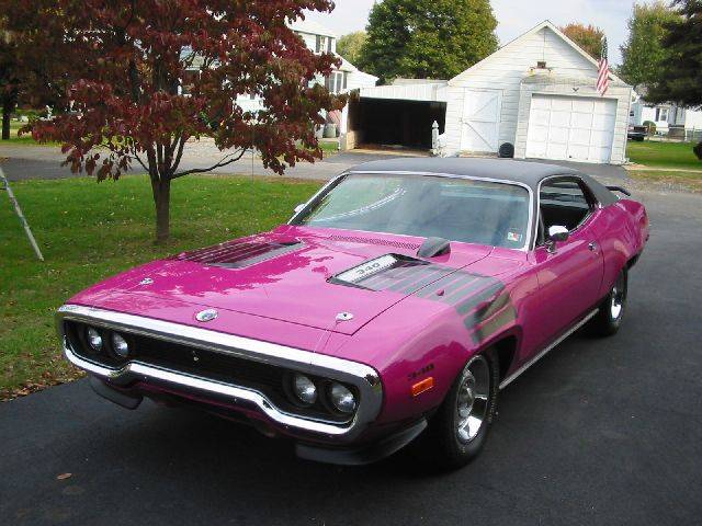 pinky lf sm.jpg