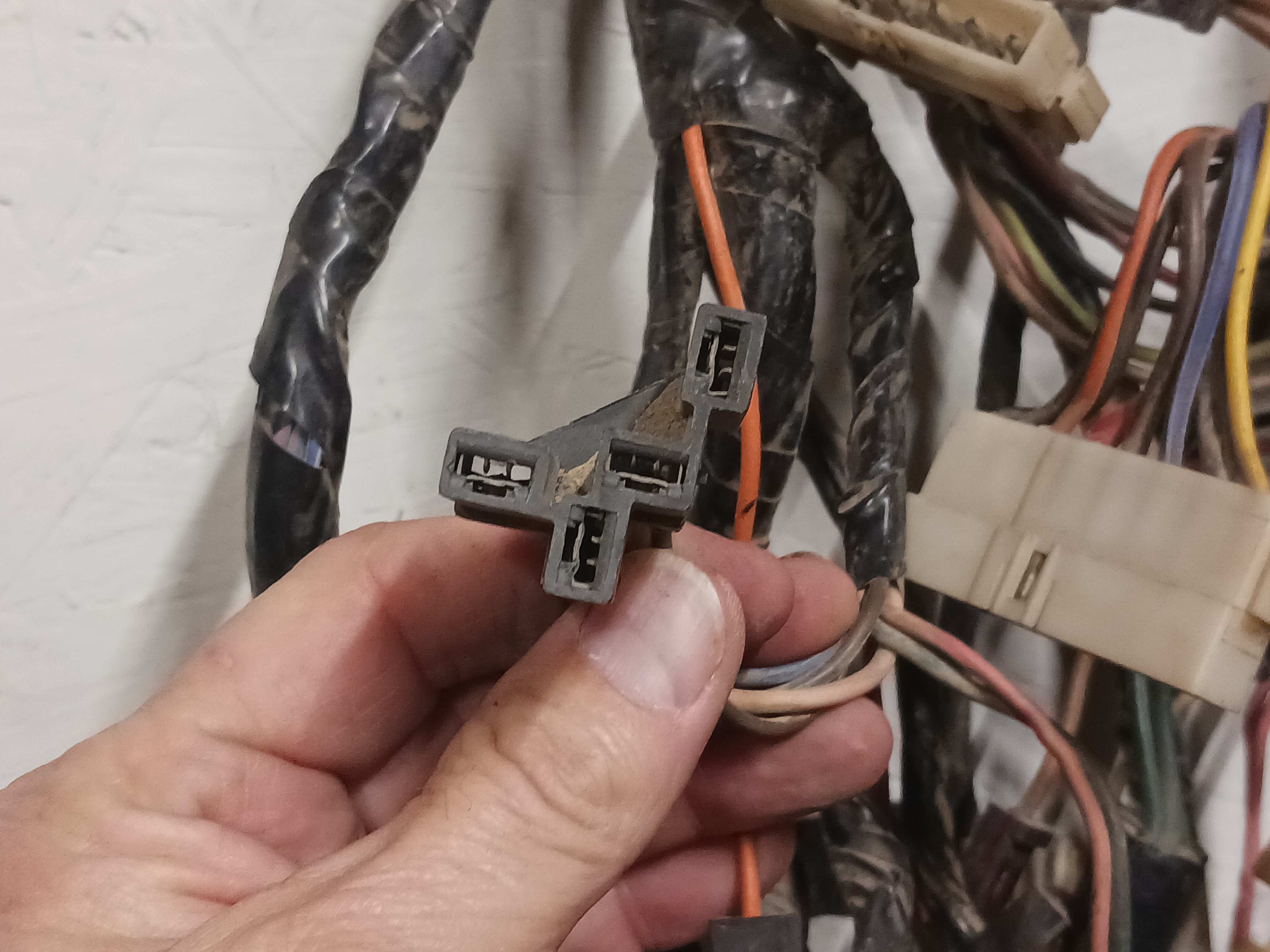 Plug 1B.jpg