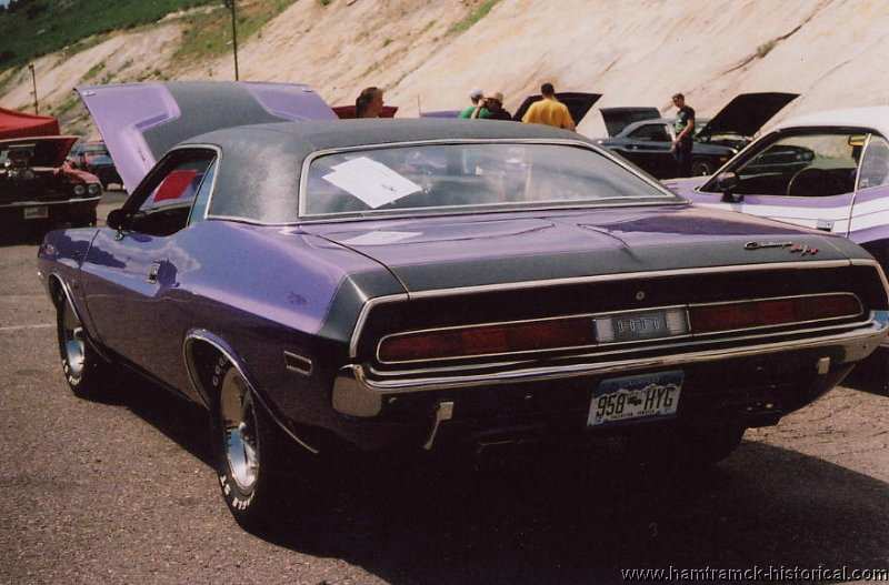 Plum Crazy with BLACK Bumble Bee Stripe.jpg
