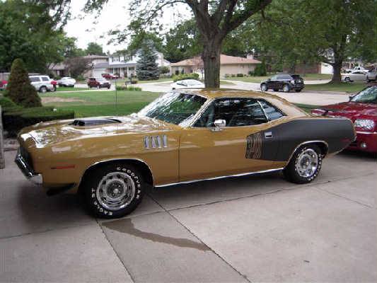 Possible Godwin Cuda BS23H1B222437 (2).jpg