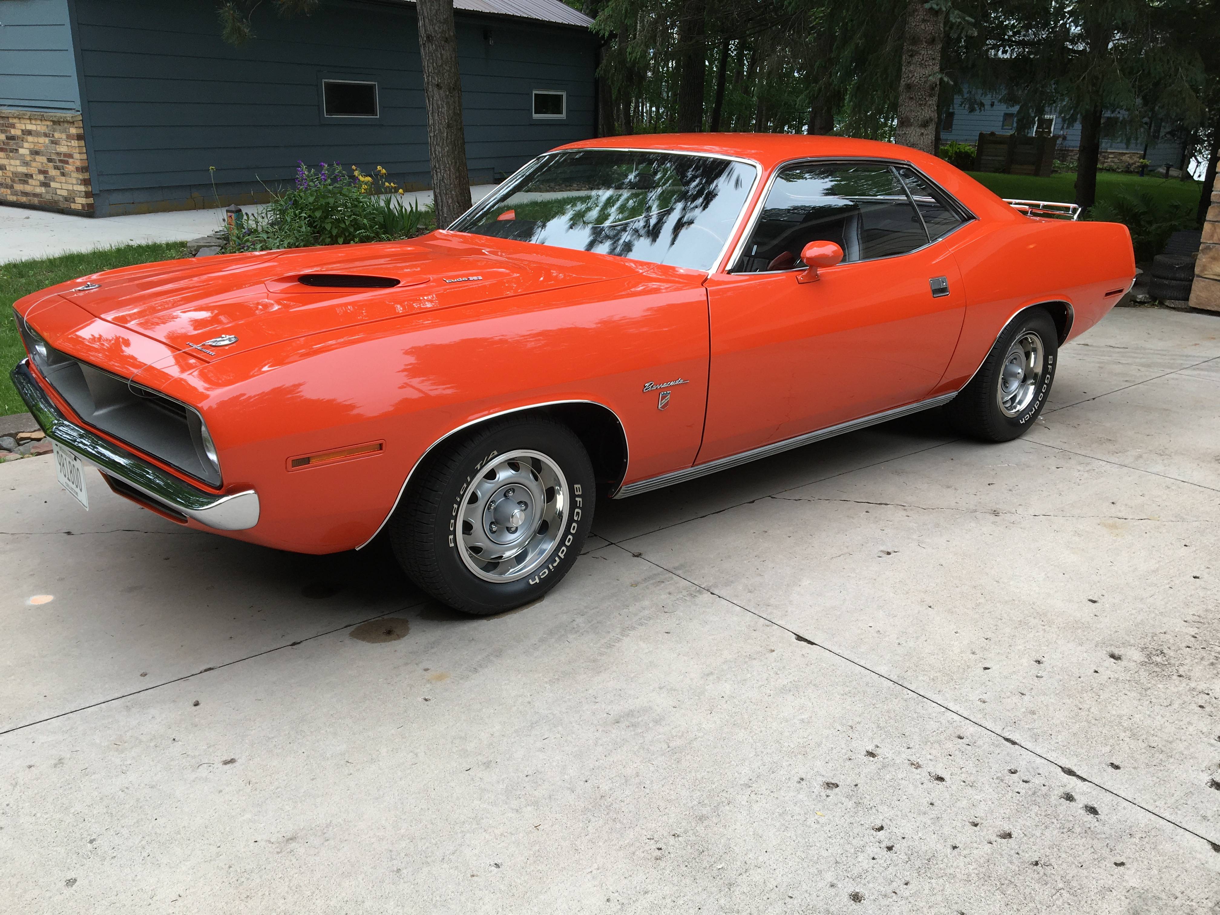 Recent Cuda pic.JPG