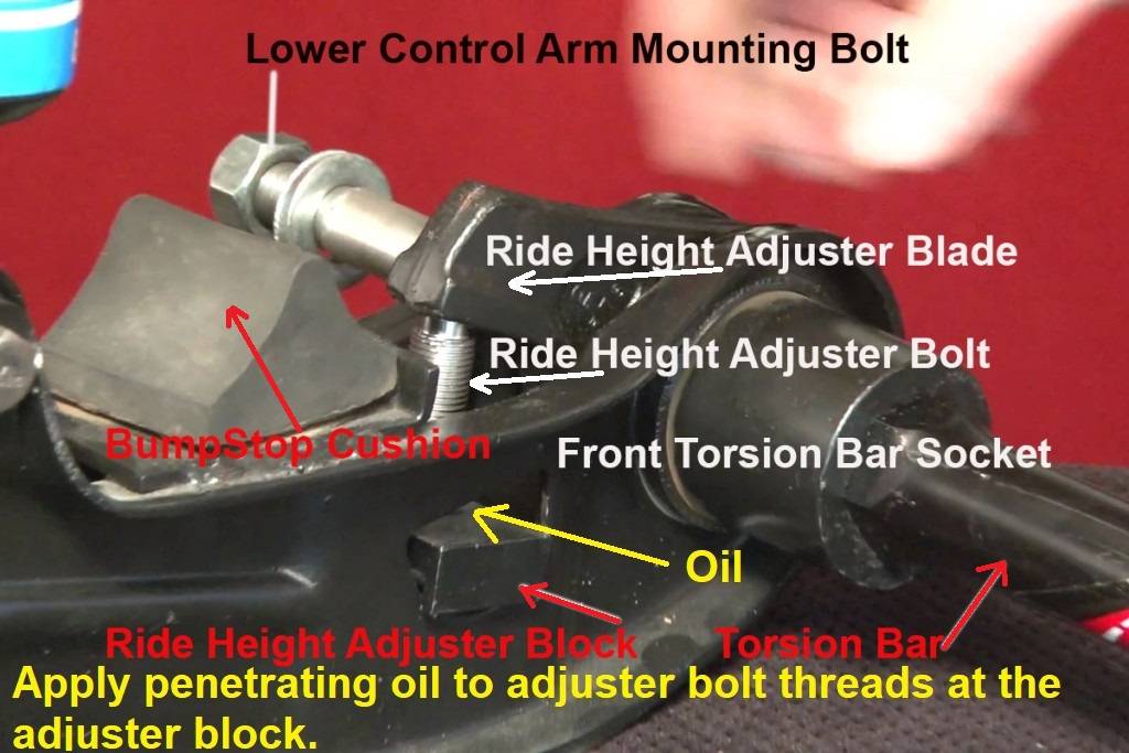 Ride-Height-Adjuster-Assembly-Lower Control Arm.jpg