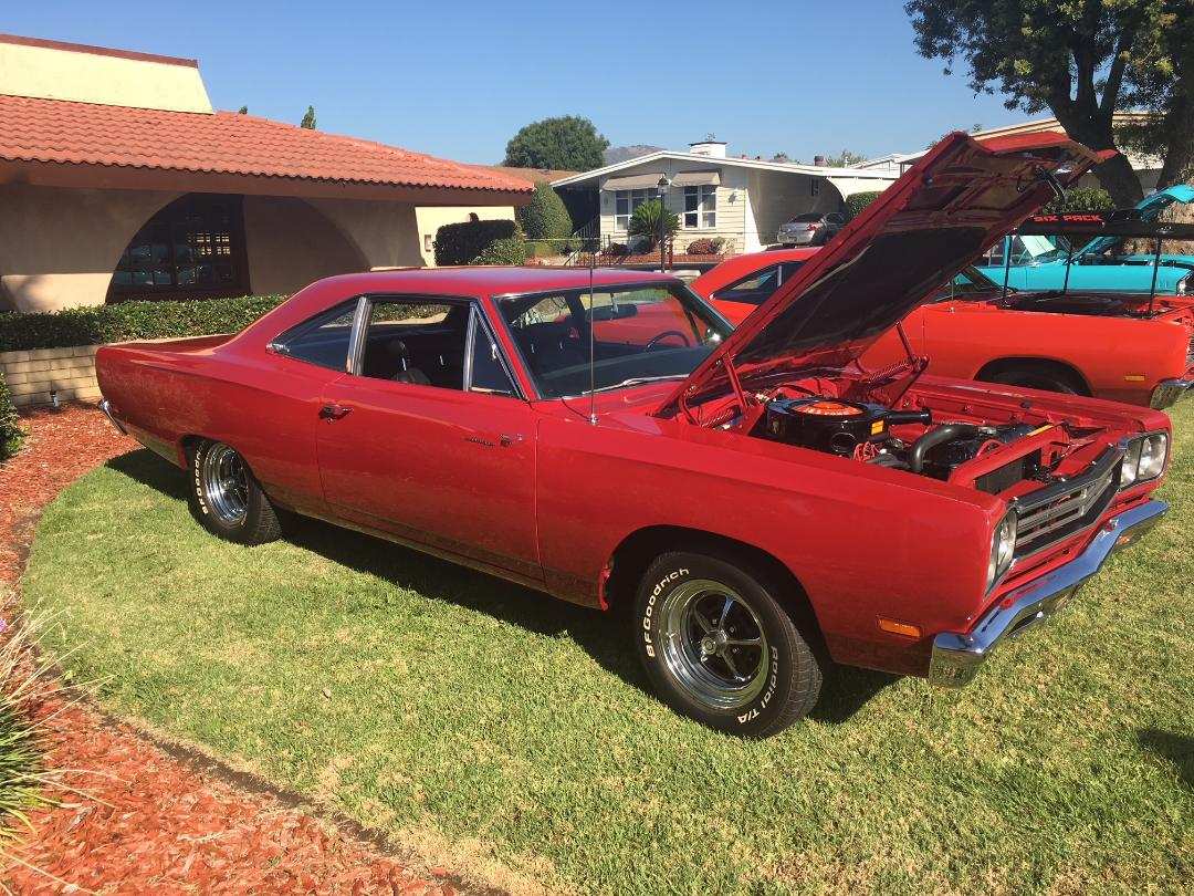 Roadrunner.jpg
