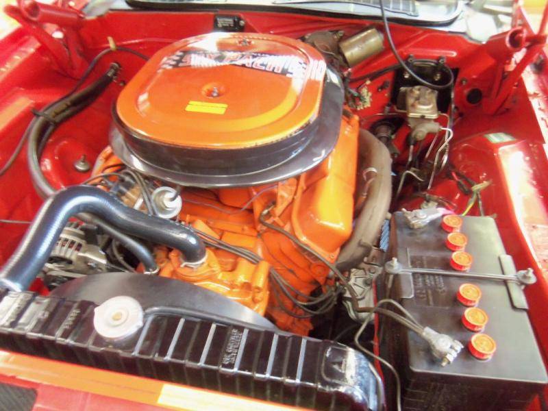 rsz_100_3626.jpg