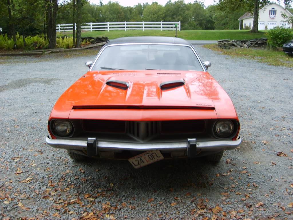 S5001899-Copy.jpg