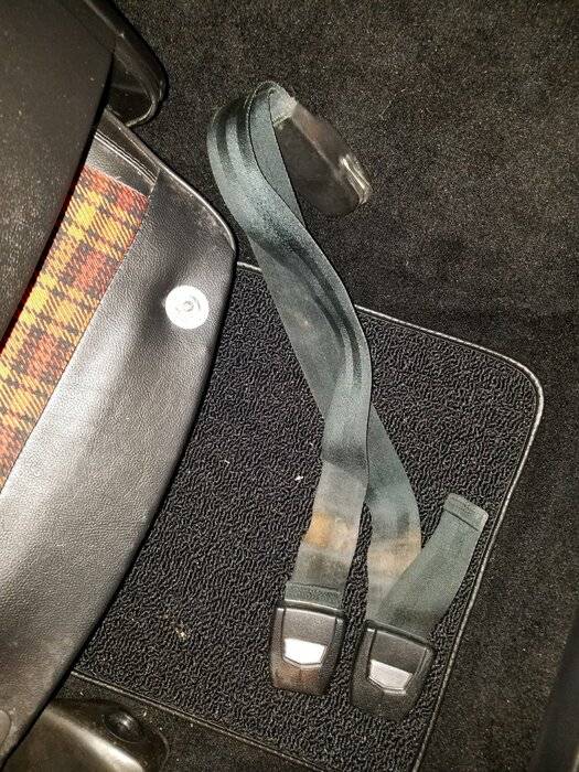seat belt.jpg