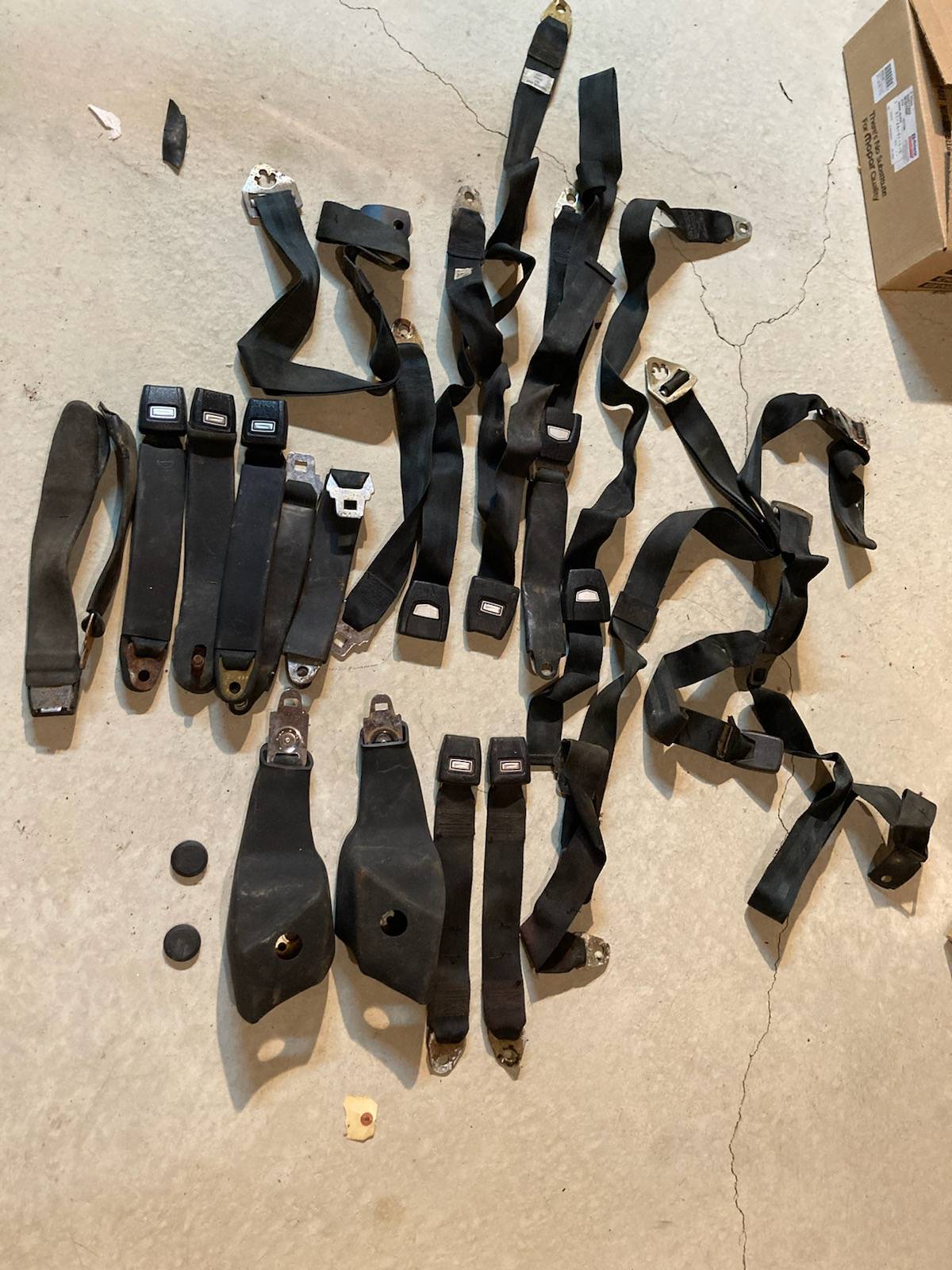 seat belts 3.jpg