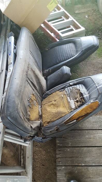 seat_27136792129003.jpg