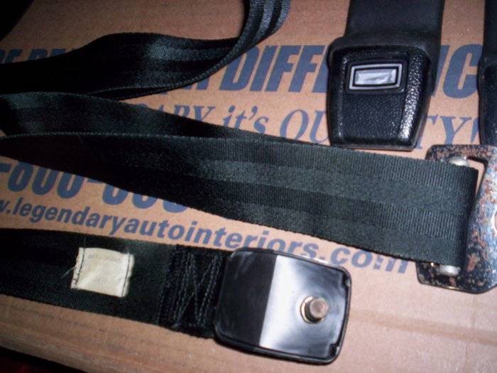 SEATBELTS AND MSD 005.JPG