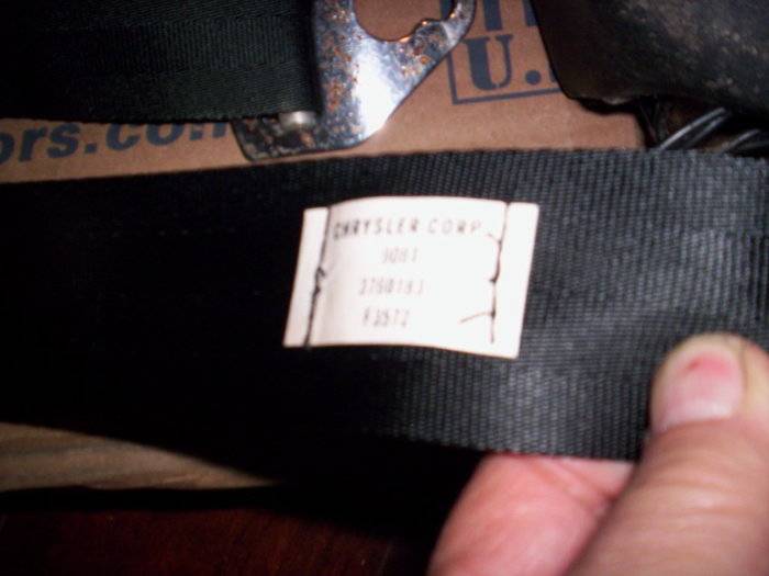 SEATBELTS AND MSD 006.JPG