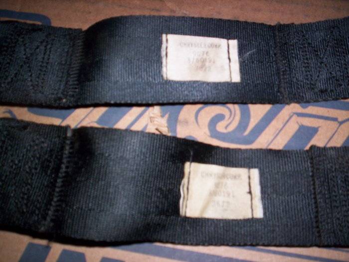 SEATBELTS AND MSD 008.JPG