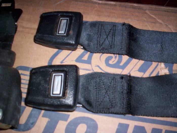 SEATBELTS AND MSD 009.JPG