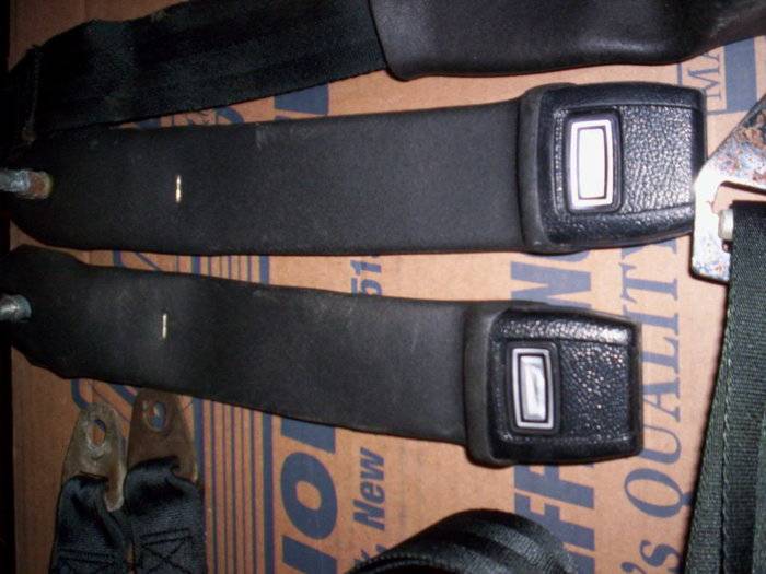 SEATBELTS AND MSD 010.JPG