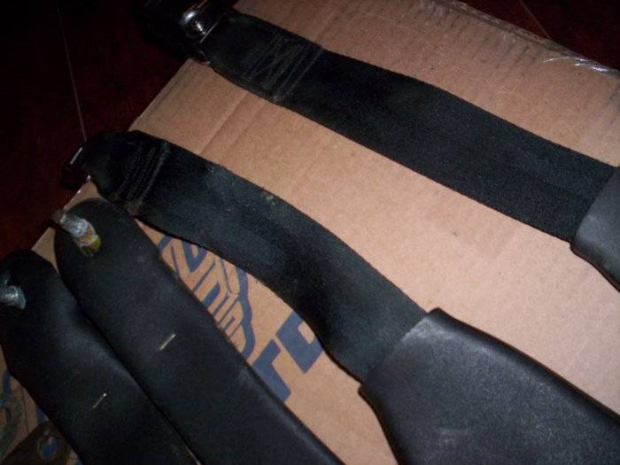 SEATBELTS AND MSD 011.JPG