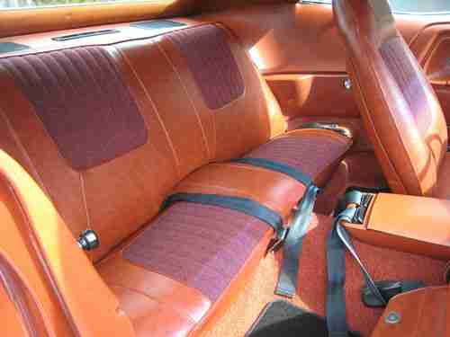 seatbelts2.jpg