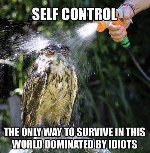Self control.jpg