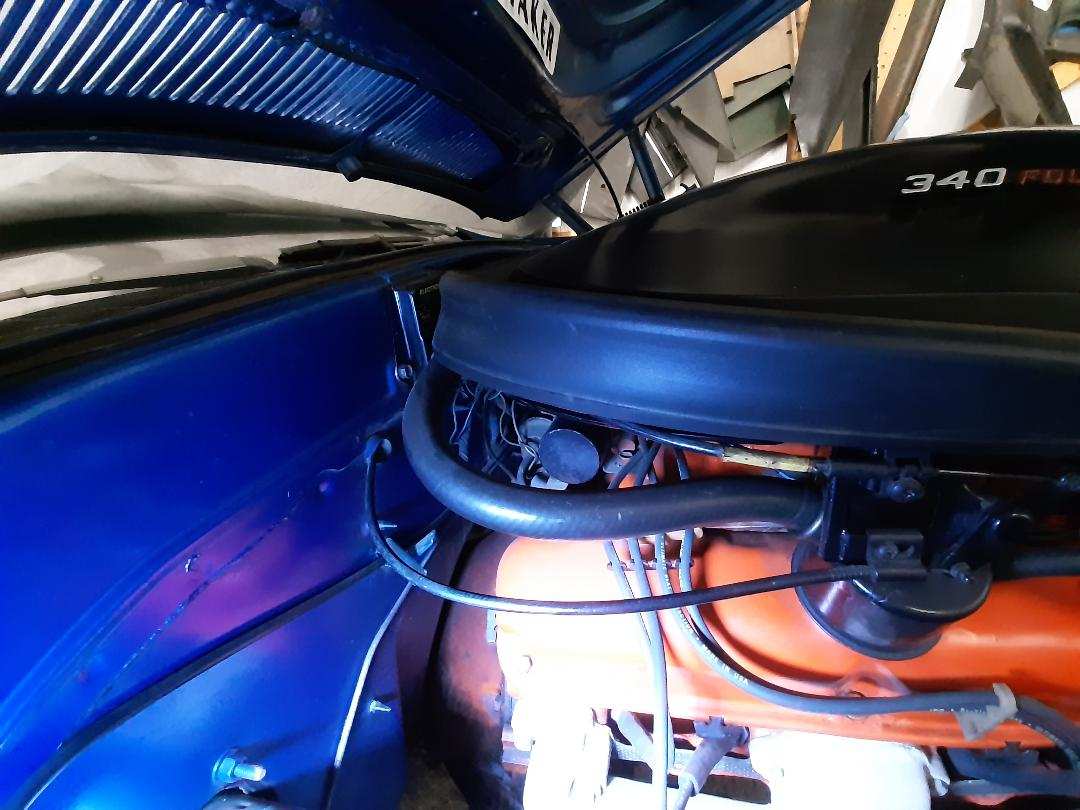 Shaker Cables.jpg