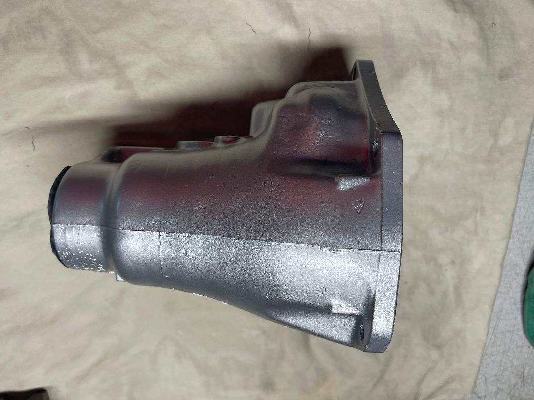 shortail case.jpeg