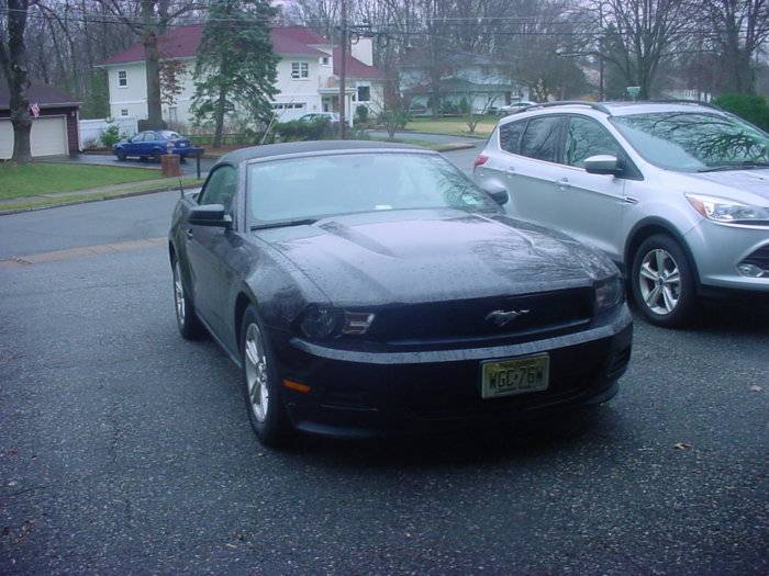 Stang January 2016.JPG