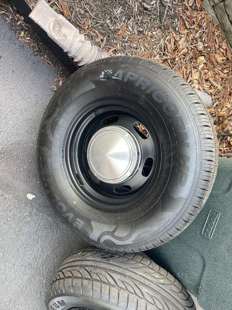 steelrear.jpeg