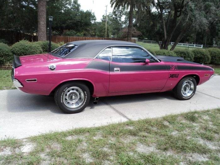 Dodge Charger Pink Panther