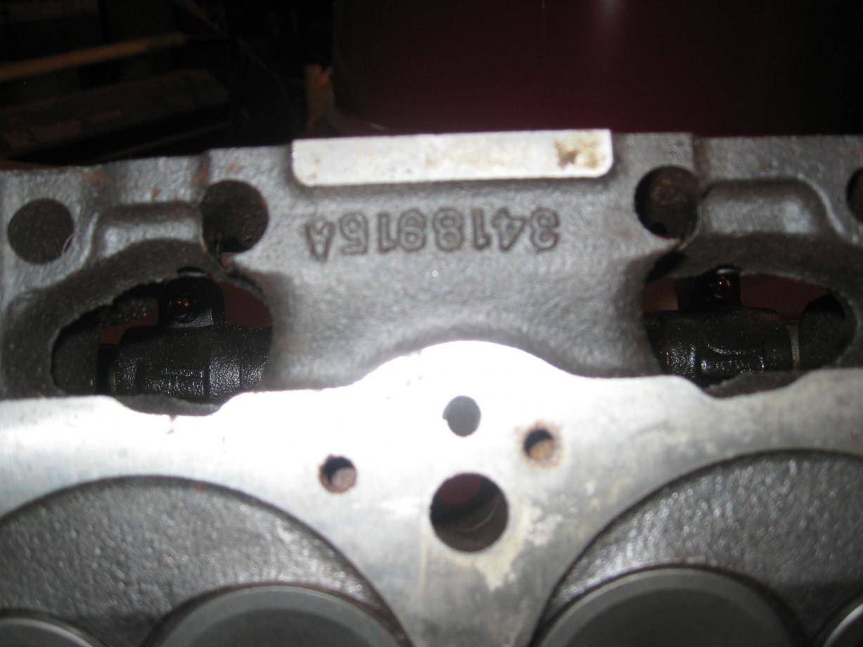 ta heads 002.jpg