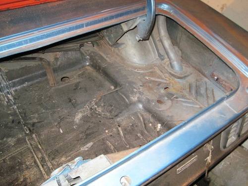 trunk 2.jpg