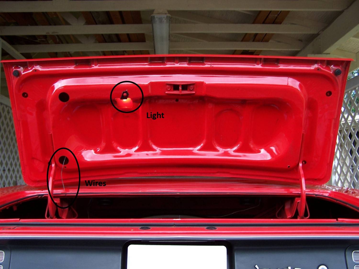 Trunk light.jpg