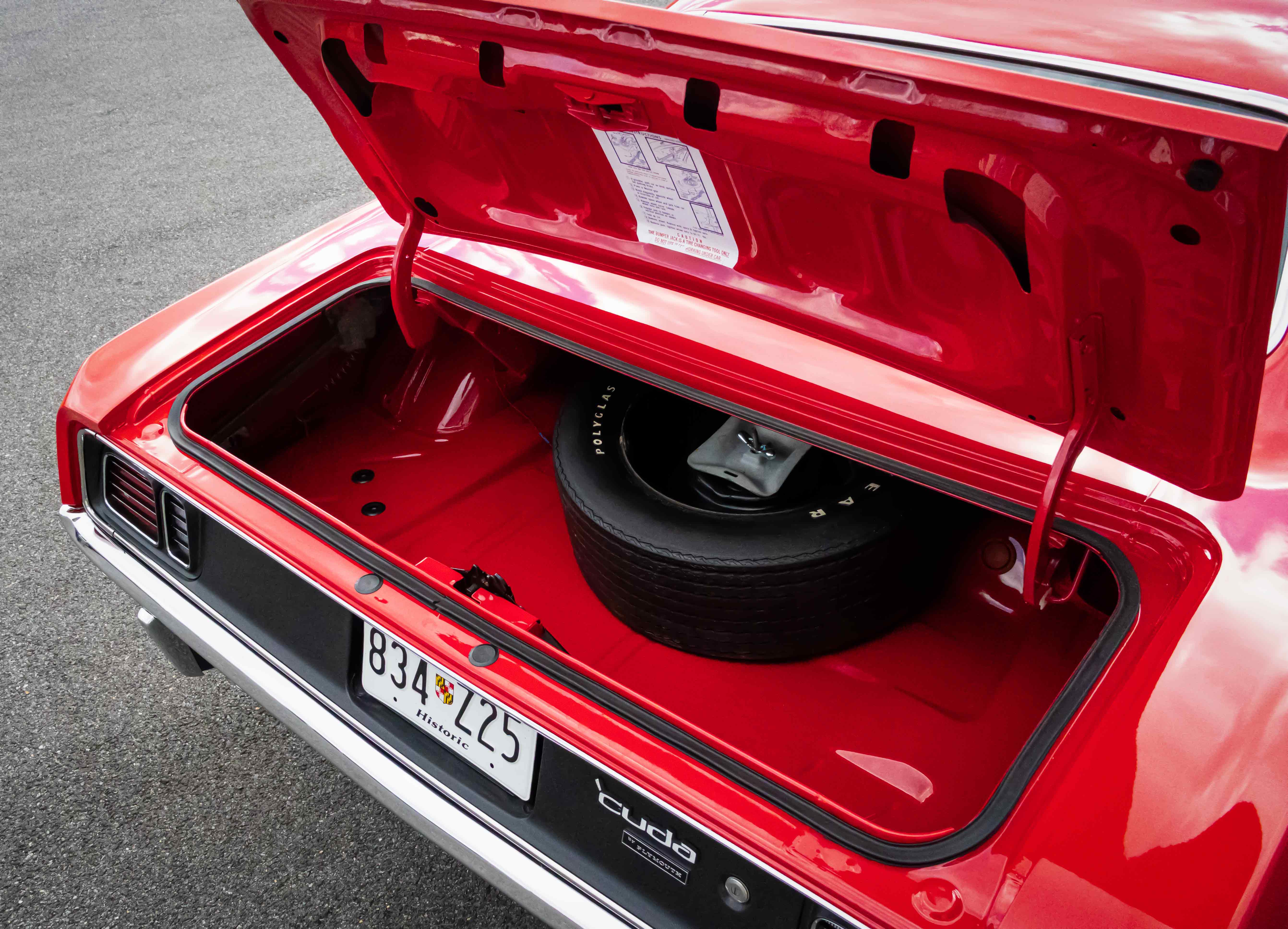 Trunk2.jpg