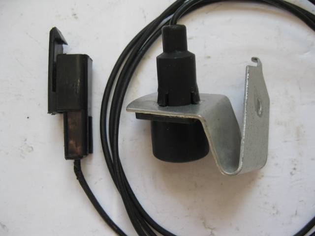 TrunkLite1.JPG